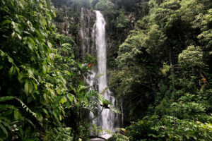 Retirement Lifestyle in Mauritius: Exploring the West Coast