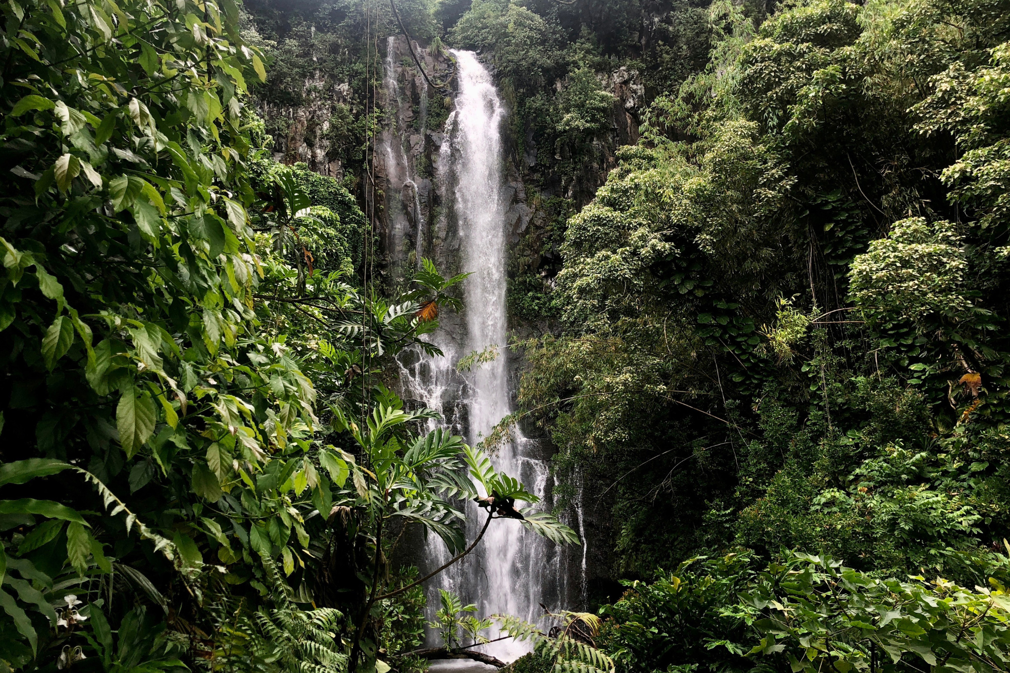 Retirement Lifestyle in Mauritius: Exploring the West Coast