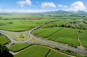 How the Transport Infrastructure in the West of Mauritius Enhances Connectivity